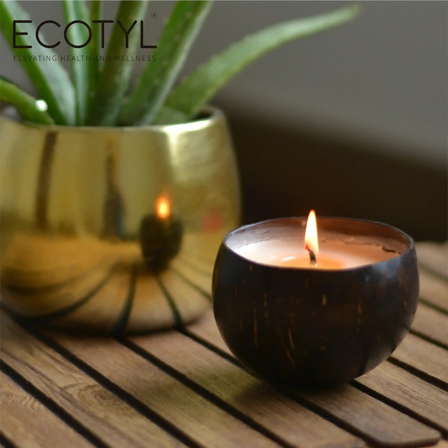 Coconut-Shell-Candle_Patchouli_Rosewood_1__Ecotyl_-earthbased_1__1_11zon_1_11zon_5_11zon