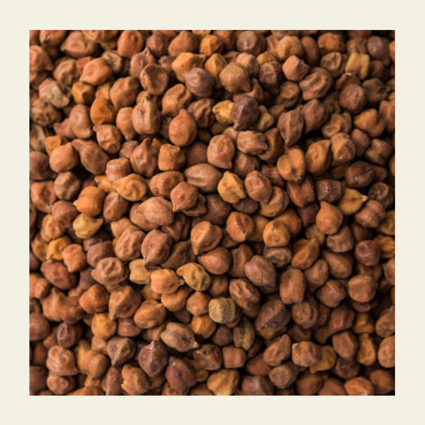Black Chana (Desi Chana) | Pack of 3