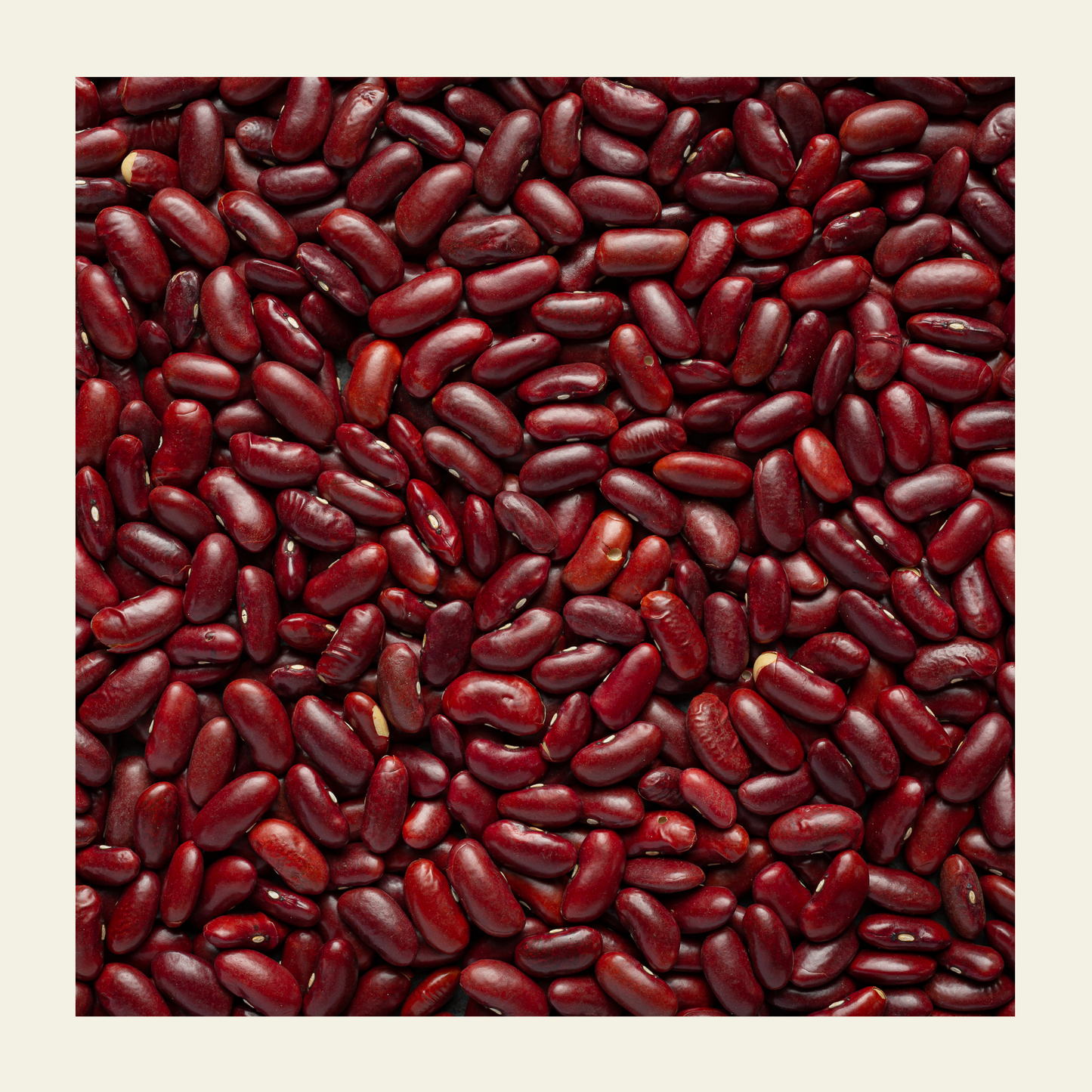 Red _Rajma _(Kidney_ Beans)_earthbased_006