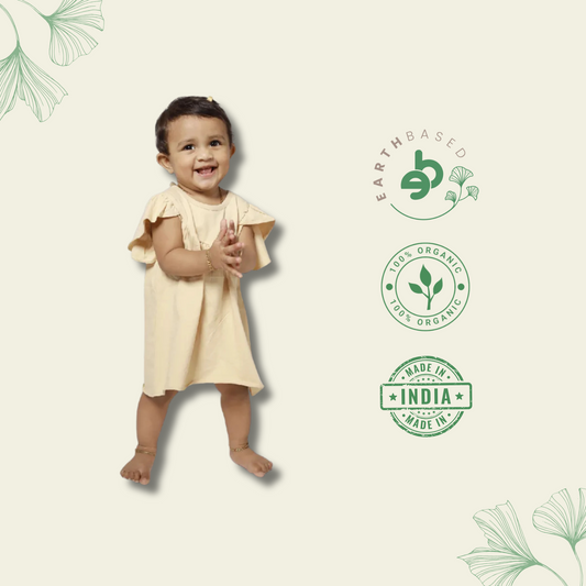 A-Line Frock with Butterfly sleeves