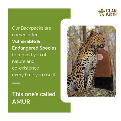 Amur Backpack - Cherry Red & Charcoal Black | Clan Earth  | earthbased.in | Best Backpack in India | 06