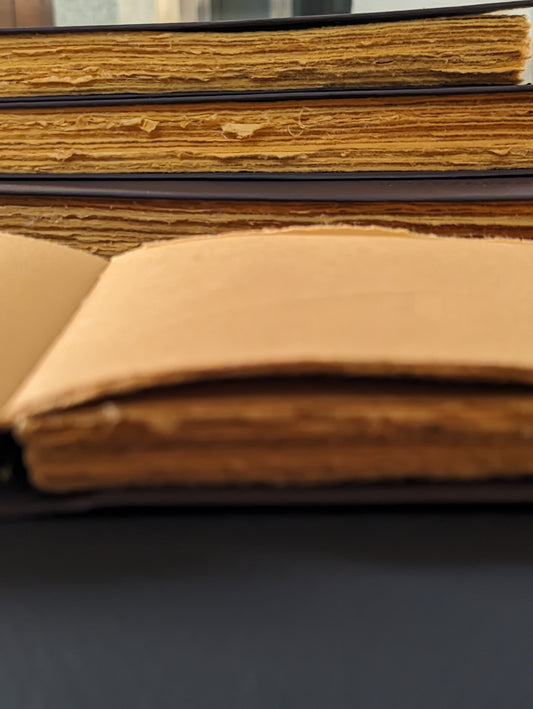 Landscape_Leather_like_Cruelty_free_Journal_earthbased_00