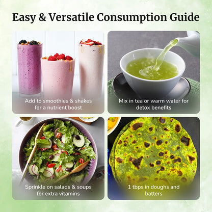 Daivik Moringa Miracle Moringa Powder | 100% Natural | Immunity Booster, Anti Aging, Anti Oxidant | 500 gms