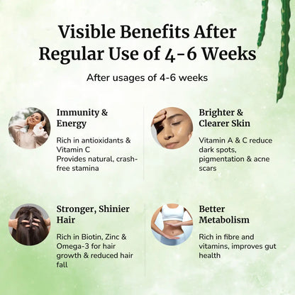 Daivik Moringa Miracle Moringa Powder | 100% Natural | Immunity Booster, Anti Aging, Anti Oxidant | 250 gms