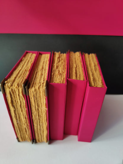 Sketching_Diary_(Pink & Purple)_earthbased_004