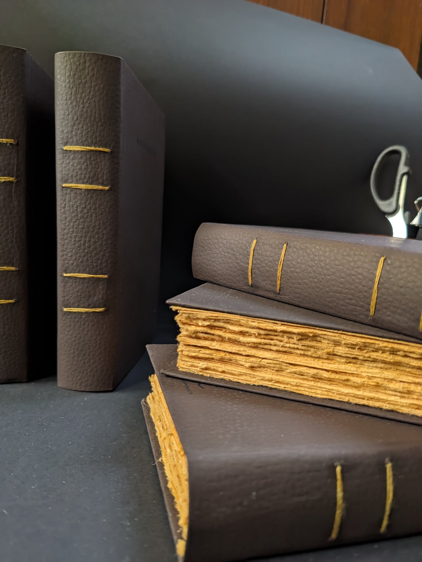 Vegan_Leather_Like_Journal_earthbased_006