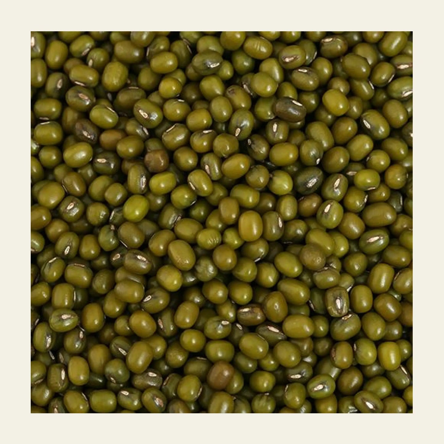 Whole_ Green_ Gram_ (Moong)_earthbased_007