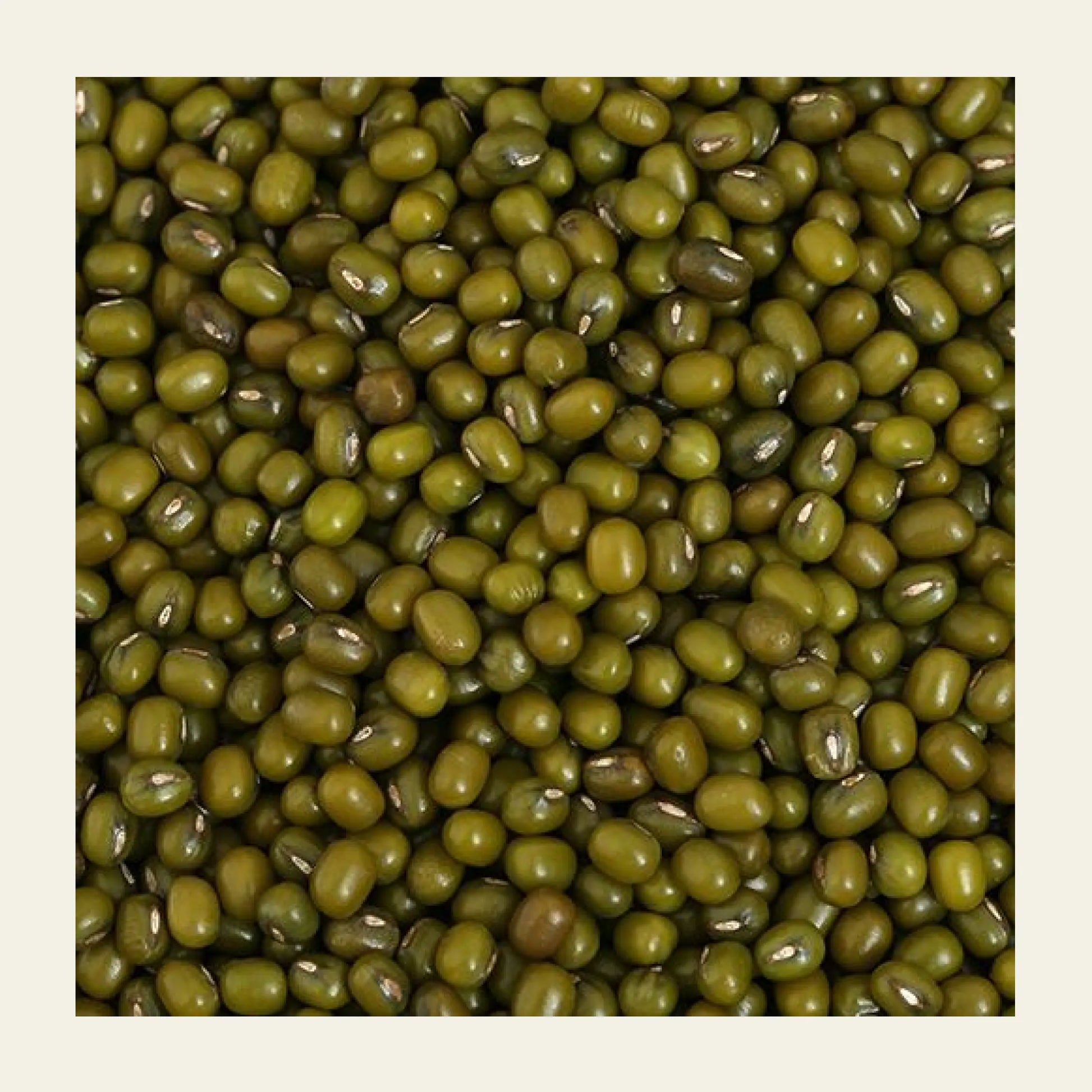 Whole_ Green_ Gram_ (Moong)_earthbased_007
