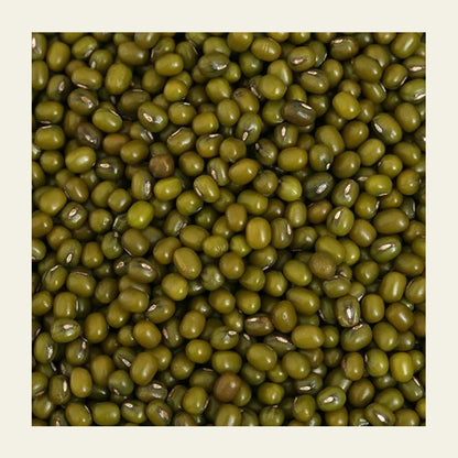 Whole_ Green_ Gram_ (Moong)_earthbased_007